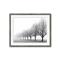 Picture of Lined Up Trees _GroupedProduct_Rectangle_Landscape_Photography _GroupedProduct_Rectangle_Landscape_Framed_Matted_