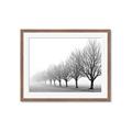 Picture of Lined Up Trees _GroupedProduct_Rectangle_Landscape_Photography _GroupedProduct_Rectangle_Landscape_Framed_Matted_