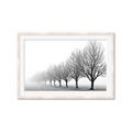 Picture of Lined Up Trees _GroupedProduct_Rectangle_Landscape_Photography _GroupedProduct_Rectangle_Landscape_Framed_Matted_