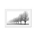 Picture of Lined Up Trees _GroupedProduct_Rectangle_Landscape_Photography _GroupedProduct_Rectangle_Landscape_Framed_Matted_