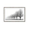 Picture of Lined Up Trees _GroupedProduct_Rectangle_Landscape_Photography _GroupedProduct_Rectangle_Landscape_Framed_Matted_
