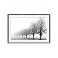 Picture of Lined Up Trees _GroupedProduct_Rectangle_Landscape_Photography _GroupedProduct_Rectangle_Landscape_Framed_Matted_