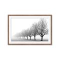 Picture of Lined Up Trees _GroupedProduct_Rectangle_Landscape_Photography _GroupedProduct_Rectangle_Landscape_Framed_Matted_