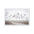 Picture of Seagulls flying on a rainy day _GroupedProduct_Rectangle_Landscape_Photography _GroupedProduct_Rectangle_Landscape_Framed_Matted_