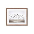 Picture of Seagulls flying on a rainy day _GroupedProduct_Rectangle_Landscape_Photography _GroupedProduct_Rectangle_Landscape_Framed_Matted_