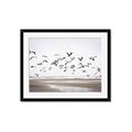 Picture of Seagulls flying on a rainy day _GroupedProduct_Rectangle_Landscape_Photography _GroupedProduct_Rectangle_Landscape_Framed_Matted_