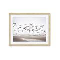 Picture of Seagulls flying on a rainy day _GroupedProduct_Rectangle_Landscape_Photography _GroupedProduct_Rectangle_Landscape_Framed_Matted_