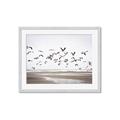 Picture of Seagulls flying on a rainy day _GroupedProduct_Rectangle_Landscape_Photography _GroupedProduct_Rectangle_Landscape_Framed_Matted_