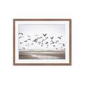 Picture of Seagulls flying on a rainy day _GroupedProduct_Rectangle_Landscape_Photography _GroupedProduct_Rectangle_Landscape_Framed_Matted_