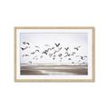Picture of Seagulls flying on a rainy day _GroupedProduct_Rectangle_Landscape_Photography _GroupedProduct_Rectangle_Landscape_Framed_Matted_