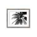 Picture of Black Palm  _GroupedProduct_Rectangle_Landscape_Photography _GroupedProduct_Rectangle_Landscape_Framed_Matted_
