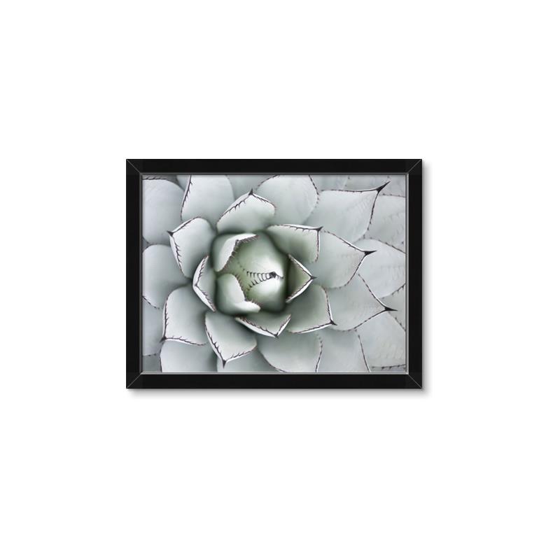 Picture of Landscaped flower Bed _GroupedProduct_Rectangle_Landscape_Photography _GroupedProduct_Rectangle_Landscape_Framed_Matted_