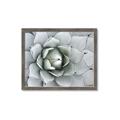 Picture of Landscaped flower Bed _GroupedProduct_Rectangle_Landscape_Photography _GroupedProduct_Rectangle_Landscape_Framed_Matted_