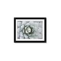 Picture of Landscaped flower Bed _GroupedProduct_Rectangle_Landscape_Photography _GroupedProduct_Rectangle_Landscape_Framed_Matted_