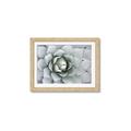 Picture of Landscaped flower Bed _GroupedProduct_Rectangle_Landscape_Photography _GroupedProduct_Rectangle_Landscape_Framed_Matted_