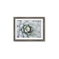 Picture of Landscaped flower Bed _GroupedProduct_Rectangle_Landscape_Photography _GroupedProduct_Rectangle_Landscape_Framed_Matted_