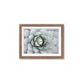 Picture of Landscaped flower Bed _GroupedProduct_Rectangle_Landscape_Photography _GroupedProduct_Rectangle_Landscape_Framed_Matted_