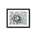 Picture of Landscaped flower Bed _GroupedProduct_Rectangle_Landscape_Photography _GroupedProduct_Rectangle_Landscape_Framed_Matted_