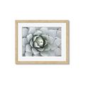 Picture of Landscaped flower Bed _GroupedProduct_Rectangle_Landscape_Photography _GroupedProduct_Rectangle_Landscape_Framed_Matted_