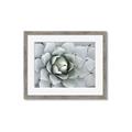 Picture of Landscaped flower Bed _GroupedProduct_Rectangle_Landscape_Photography _GroupedProduct_Rectangle_Landscape_Framed_Matted_
