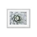 Picture of Landscaped flower Bed _GroupedProduct_Rectangle_Landscape_Photography _GroupedProduct_Rectangle_Landscape_Framed_Matted_