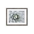 Picture of Landscaped flower Bed _GroupedProduct_Rectangle_Landscape_Photography _GroupedProduct_Rectangle_Landscape_Framed_Matted_