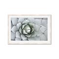 Picture of Landscaped flower Bed _GroupedProduct_Rectangle_Landscape_Photography _GroupedProduct_Rectangle_Landscape_Framed_Matted_