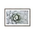 Picture of Landscaped flower Bed _GroupedProduct_Rectangle_Landscape_Photography _GroupedProduct_Rectangle_Landscape_Framed_Matted_