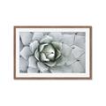 Picture of Landscaped flower Bed _GroupedProduct_Rectangle_Landscape_Photography _GroupedProduct_Rectangle_Landscape_Framed_Matted_