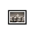 Picture of On the Runway _GroupedProduct_Rectangle_Landscape_Photography _GroupedProduct_Rectangle_Landscape_Framed_Matted_
