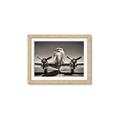 Picture of On the Runway _GroupedProduct_Rectangle_Landscape_Photography _GroupedProduct_Rectangle_Landscape_Framed_Matted_