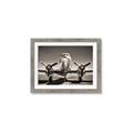 Picture of On the Runway _GroupedProduct_Rectangle_Landscape_Photography _GroupedProduct_Rectangle_Landscape_Framed_Matted_