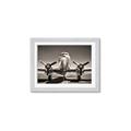 Picture of On the Runway _GroupedProduct_Rectangle_Landscape_Photography _GroupedProduct_Rectangle_Landscape_Framed_Matted_