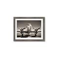 Picture of On the Runway _GroupedProduct_Rectangle_Landscape_Photography _GroupedProduct_Rectangle_Landscape_Framed_Matted_