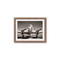 Picture of On the Runway _GroupedProduct_Rectangle_Landscape_Photography _GroupedProduct_Rectangle_Landscape_Framed_Matted_