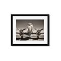 Picture of On the Runway _GroupedProduct_Rectangle_Landscape_Photography _GroupedProduct_Rectangle_Landscape_Framed_Matted_