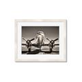 Picture of On the Runway _GroupedProduct_Rectangle_Landscape_Photography _GroupedProduct_Rectangle_Landscape_Framed_Matted_