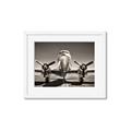 Picture of On the Runway _GroupedProduct_Rectangle_Landscape_Photography _GroupedProduct_Rectangle_Landscape_Framed_Matted_