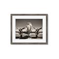 Picture of On the Runway _GroupedProduct_Rectangle_Landscape_Photography _GroupedProduct_Rectangle_Landscape_Framed_Matted_