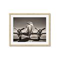 Picture of On the Runway _GroupedProduct_Rectangle_Landscape_Photography _GroupedProduct_Rectangle_Landscape_Framed_Matted_