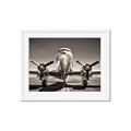 Picture of On the Runway _GroupedProduct_Rectangle_Landscape_Photography _GroupedProduct_Rectangle_Landscape_Framed_Matted_