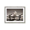 Picture of On the Runway _GroupedProduct_Rectangle_Landscape_Photography _GroupedProduct_Rectangle_Landscape_Framed_Matted_