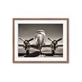 Picture of On the Runway _GroupedProduct_Rectangle_Landscape_Photography _GroupedProduct_Rectangle_Landscape_Framed_Matted_