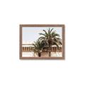 Picture of Wall with Palm Tree _GroupedProduct_Rectangle_Landscape_Photography _GroupedProduct_Rectangle_Landscape_Framed_Matted_