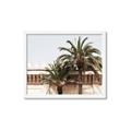 Picture of Wall with Palm Tree _GroupedProduct_Rectangle_Landscape_Photography _GroupedProduct_Rectangle_Landscape_Framed_Matted_