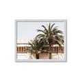 Picture of Wall with Palm Tree _GroupedProduct_Rectangle_Landscape_Photography _GroupedProduct_Rectangle_Landscape_Framed_Matted_