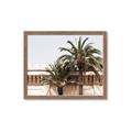 Picture of Wall with Palm Tree _GroupedProduct_Rectangle_Landscape_Photography _GroupedProduct_Rectangle_Landscape_Framed_Matted_