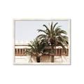 Picture of Wall with Palm Tree _GroupedProduct_Rectangle_Landscape_Photography _GroupedProduct_Rectangle_Landscape_Framed_Matted_