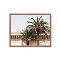 Picture of Wall with Palm Tree _GroupedProduct_Rectangle_Landscape_Photography _GroupedProduct_Rectangle_Landscape_Framed_Matted_
