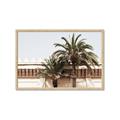 Picture of Wall with Palm Tree _GroupedProduct_Rectangle_Landscape_Photography _GroupedProduct_Rectangle_Landscape_Framed_Matted_